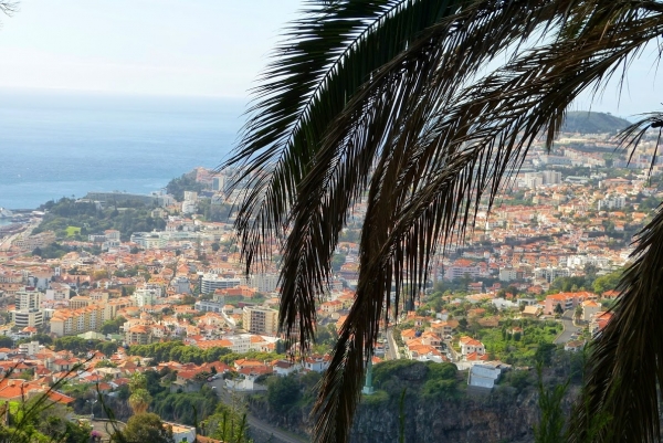 Zdjęcie z Portugalii - widok na Funchal z góry- z Botanical Garden- bezcenny!