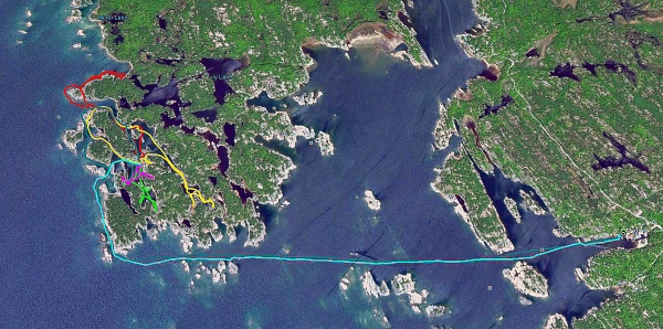 Zdjęcie z Kanady - Wyspa Franklin Island, Ontario-na zatoce Georgian Bay