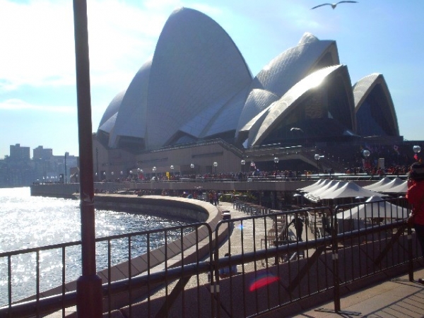 Zdjęcie z Australii - Sydney