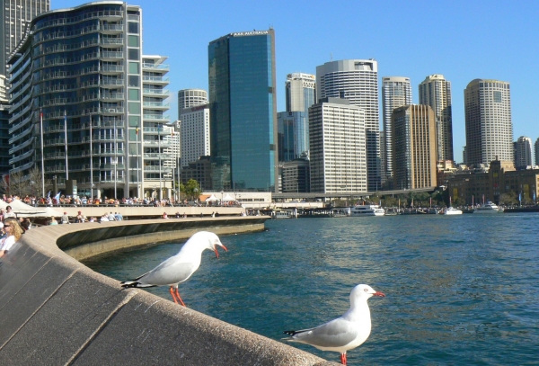 Zdjęcie z Australii - Sydney