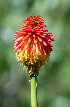 Zdjęcie z Hiszpanii - ogród botaniczny