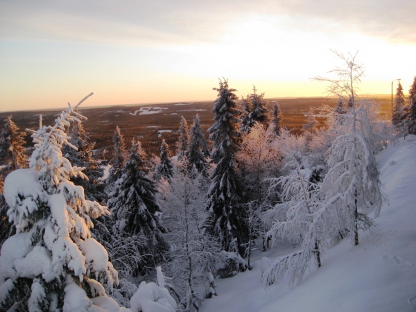 Zdjęcie z Finlandii - Iso-Syöte