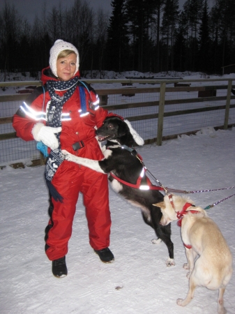 Zdjęcie z Finlandii - Husky-Safari 
