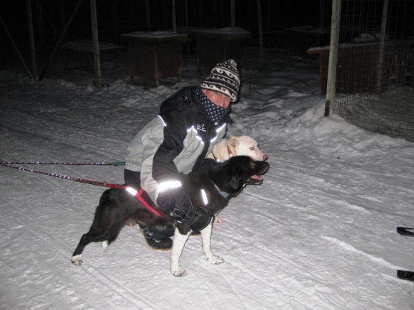 Zdjęcie z Finlandii - Husky-Safari 