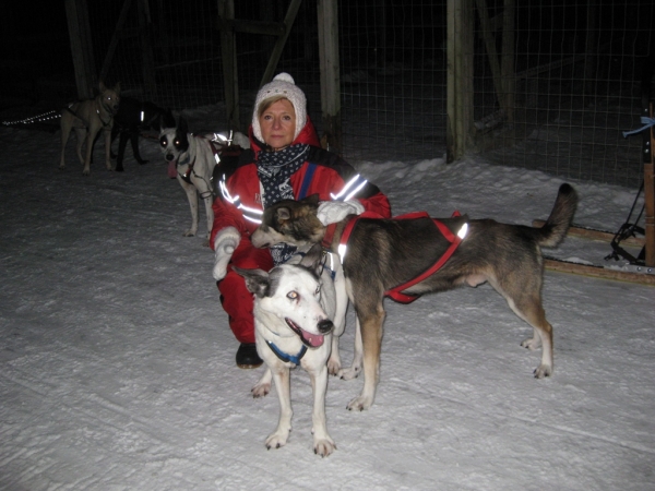 Zdjęcie z Finlandii - Husky-Safari 