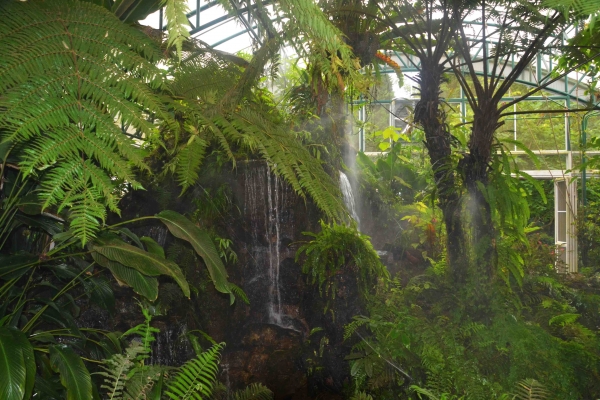Zdjęcie z Tajlandii - W ogrodach Rezydencji Krolewskiej w Chiang Mai