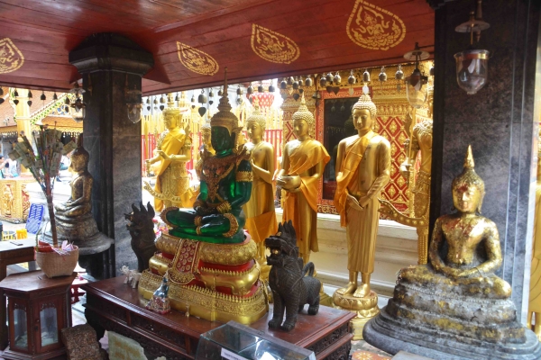 Zdjęcie z Tajlandii - I znowu butelkowiec z Wat Phra That Doi Suthep
