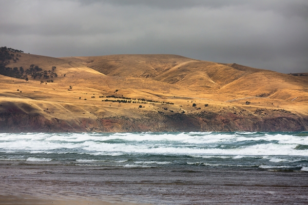 Zdjęcie z Australii - Sellicks Beach
