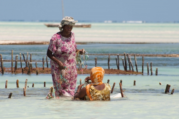 Zdjęcie z Tanzanii - 