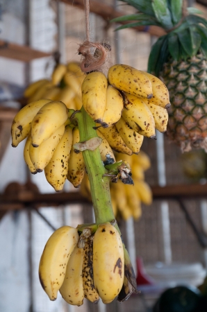 Zdjęcie z Tanzanii - 
