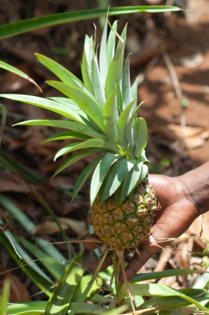 Zdjęcie z Tanzanii - 
