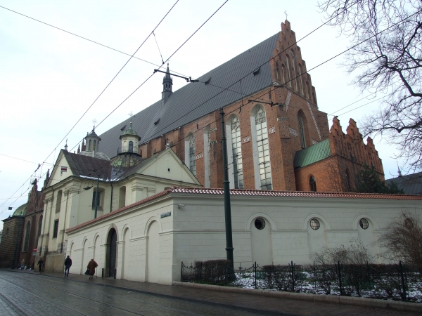 Zdjęcie z Polski - od Plant