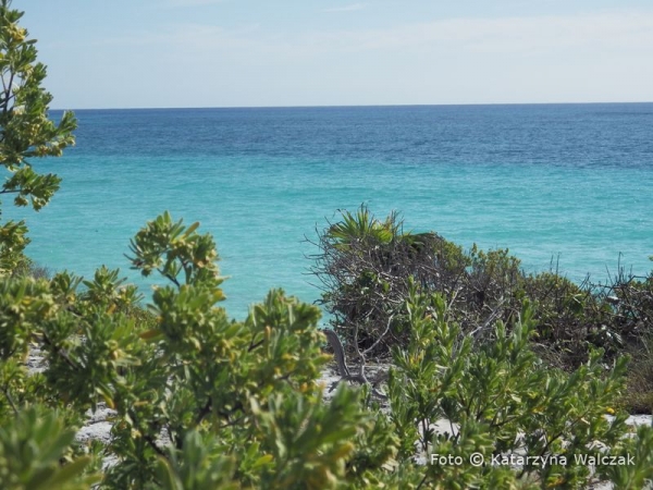 Zdjęcie z Meksyku - Tulum