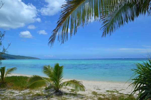 Zdjęcie z Vanuatu - Boskie plaze Mystery Island