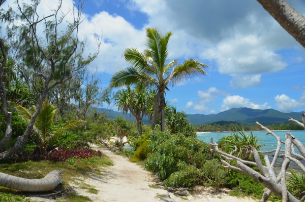 Zdjęcie z Vanuatu - Sciezka wokol wyspy Mystery Island