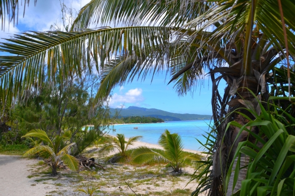 Zdjęcie z Vanuatu - Sciezka wokol wyspy Mystery Island