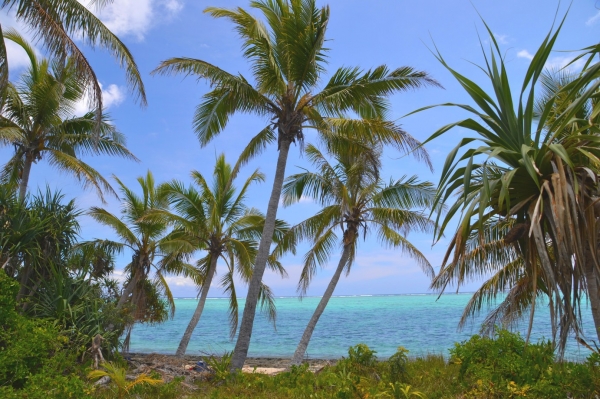 Zdjęcie z Vanuatu - Mystery Island