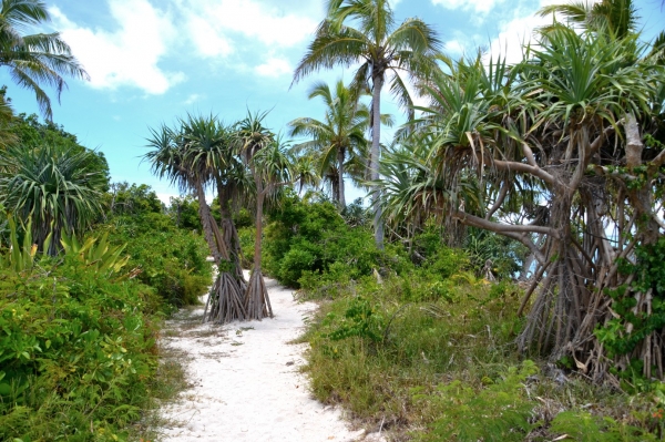 Zdjęcie z Vanuatu - Sciezka wokol wyspy Mystery Island