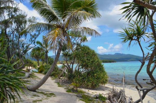 Zdjęcie z Vanuatu - Sciezka wokol wyspy Mystery Island