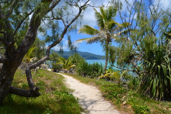 Zdjęcie z Vanuatu - Sciezka wokol wyspy Mystery Island