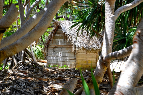 Zdjęcie z Vanuatu - 