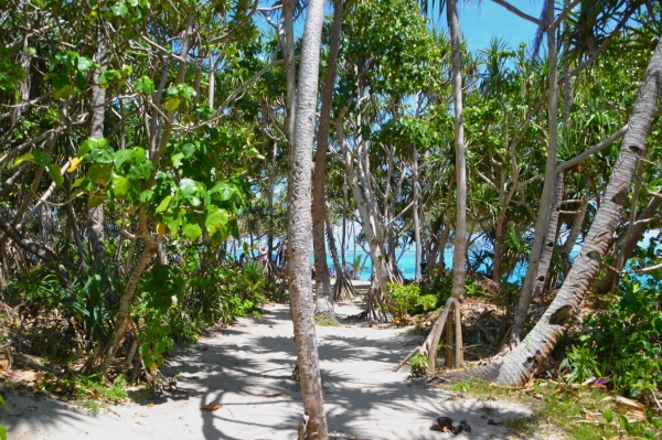 Zdjęcie z Vanuatu - Sciezka wokol wyspy Mystery Island