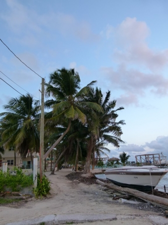 Zdjęcie z Belize - Caye Caulker