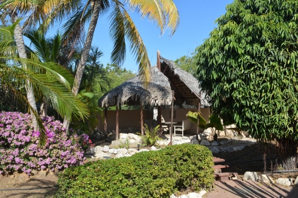 Zdjęcie z Curacao - 