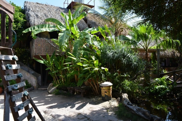 Zdjęcie z Curacao - AMAZONIA