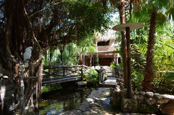 Zdjęcie z Curacao - 