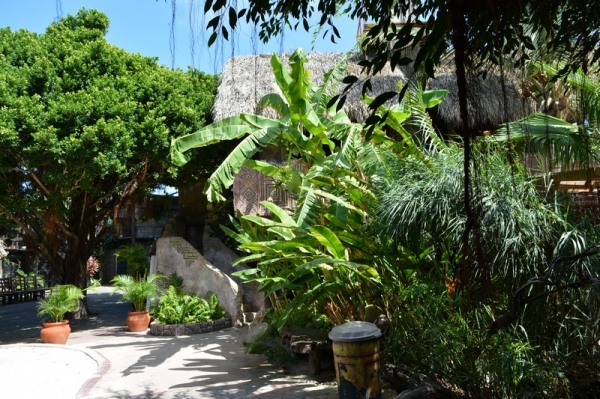 Zdjęcie z Curacao - 