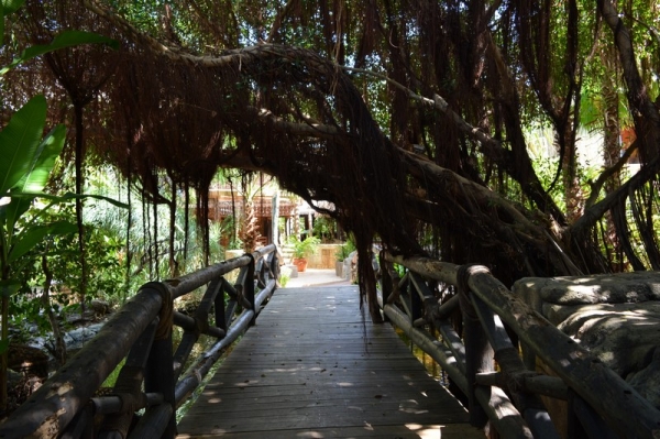 Zdjęcie z Curacao - 