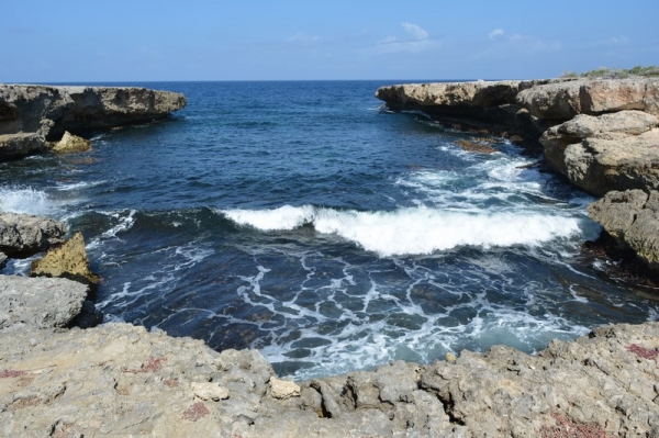 Zdjęcie z Curacao - POLNOCNE WYBRZEZE