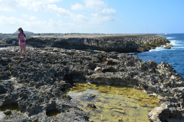 Zdjęcie z Curacao - 
