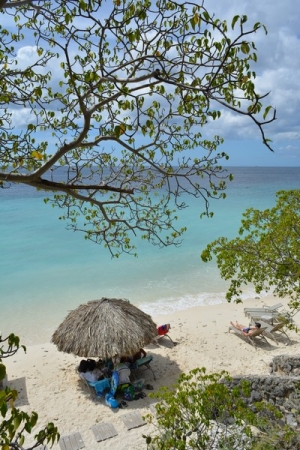 Zdjęcie z Curacao - KLEINE KNIP
