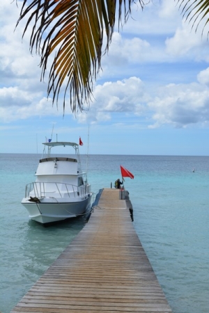 Zdjęcie z Curacao - 