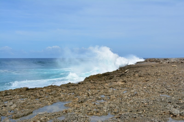Zdjęcie z Curacao - WATAMULA