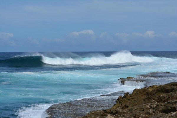 Zdjęcie z Curacao - 