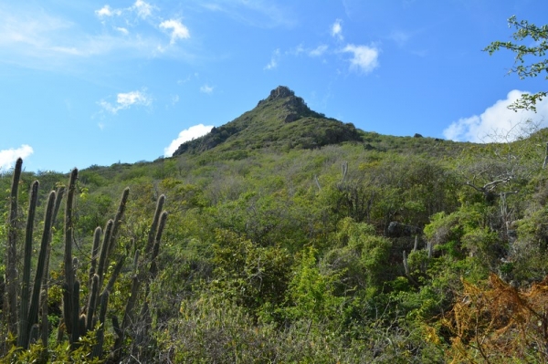 Zdjęcie z Curacao - Najwyzszy szczyt wyspy
