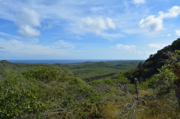 Zdjęcie z Curacao - 