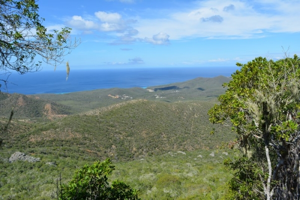 Zdjęcie z Curacao - 