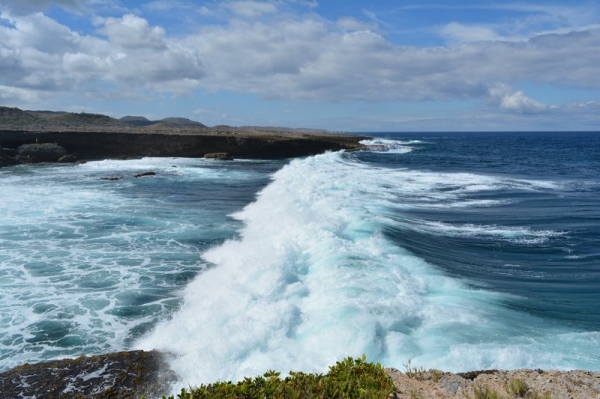 Zdjęcie z Curacao - 