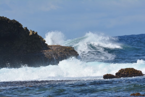 Zdjęcie z Curacao - 