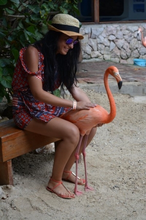 Zdjęcie z Curacao - 
