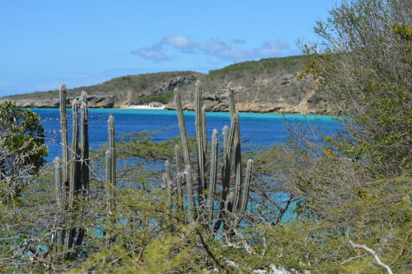 Zdjęcie z Curacao - 