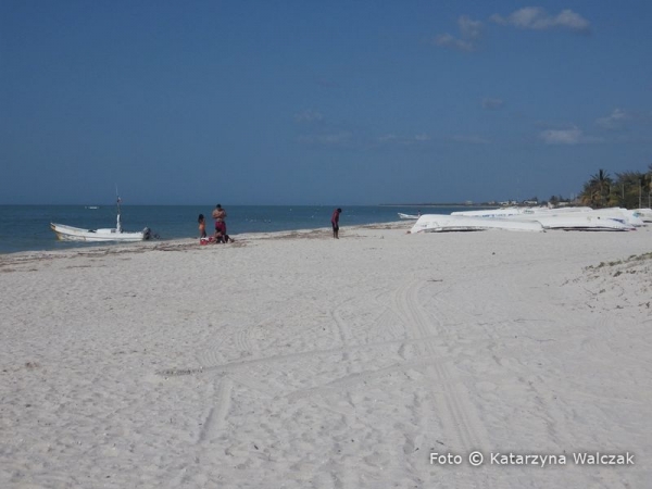 Zdjęcie z Meksyku - Plaża w okolicach Celestun