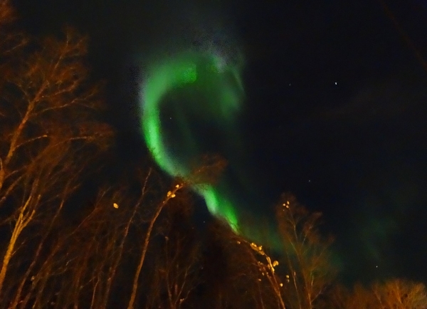 Zdjęcie z Norwegii - Zorza w Tromso