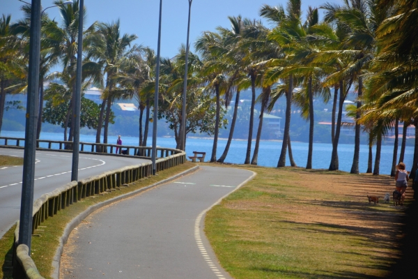 Zdjęcie z Nowej Kaledonii - La Promenade -piękna, wysadzana palmami ulica wzłuż plazy