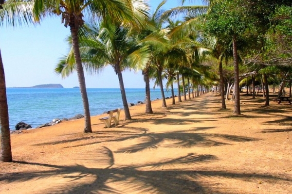 Zdjęcie z Nowej Kaledonii - La Promenade - piekna, wysadzana palmami, ulica wzdłuż plaży