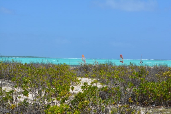 Zdjęcie z Bonaire - SOROBON